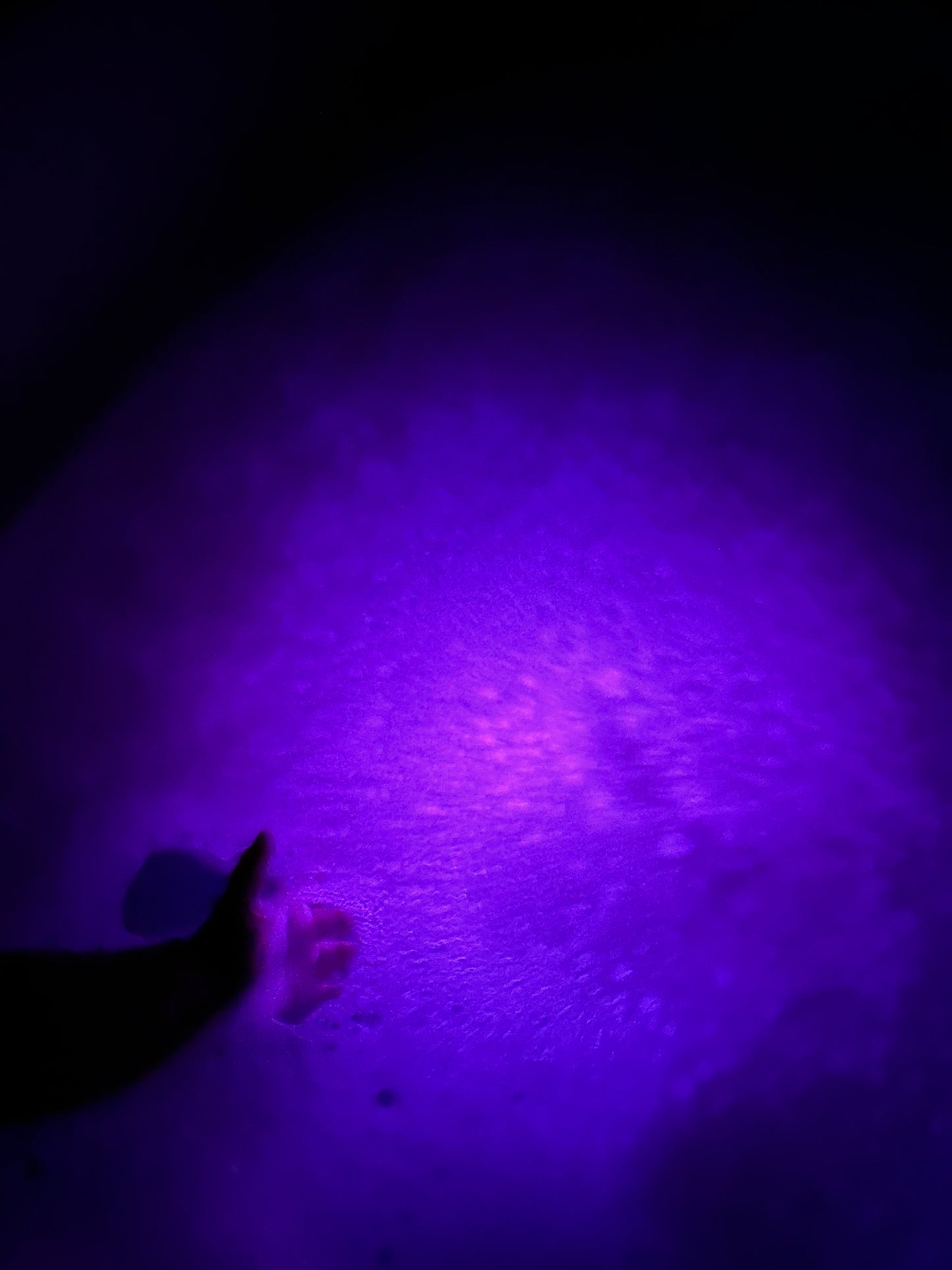 Colt’s Citrus Glow- Bubble Bath Powder