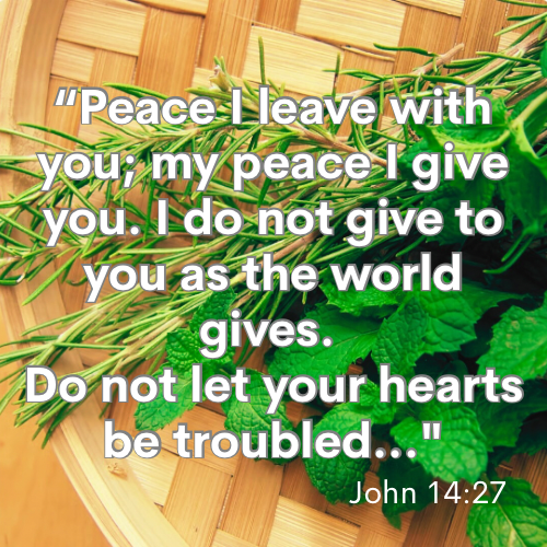 Peace- Donkey Milk Soap Bar