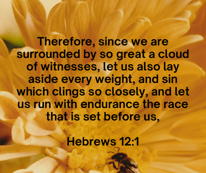 Let it Bee- Donkey Milk Soap Bar